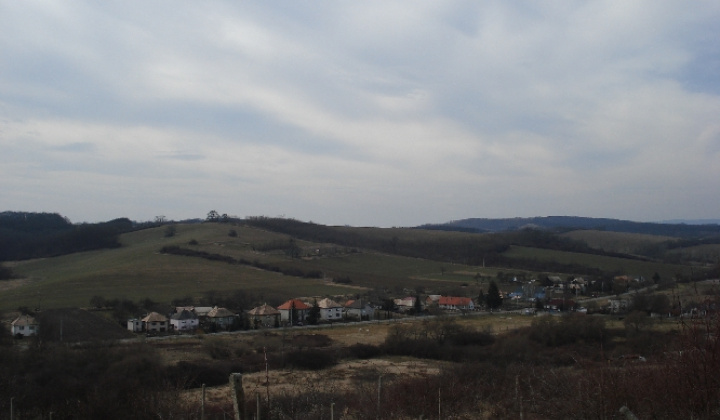 Nová galéria